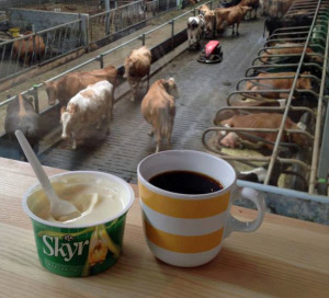 Skyr and Coffee - cropped
